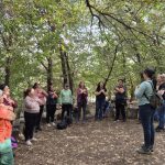 Terapia de bosque