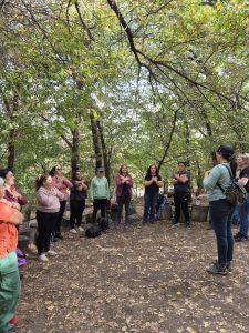 Terapia de bosque