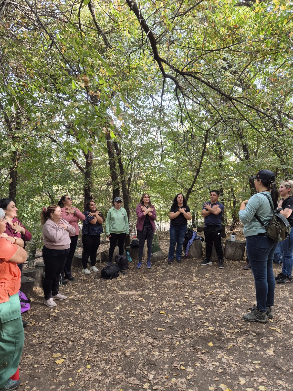 Terapia de bosque